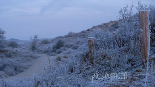 Photo post from ditiskatwijk.