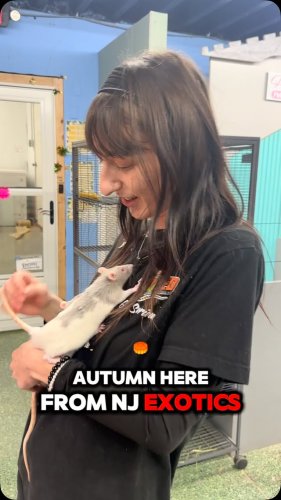 Video post from njexoticpets.