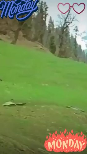 Video post from jankey_bhai.