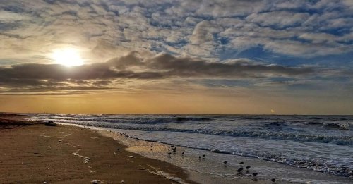 Photo post from ditiskatwijk.