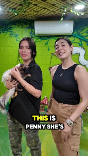 Video post from njexoticpets.