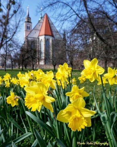 Photo post from visit.magdeburg.