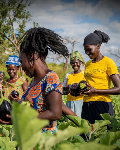 Carousel post from unops_official.