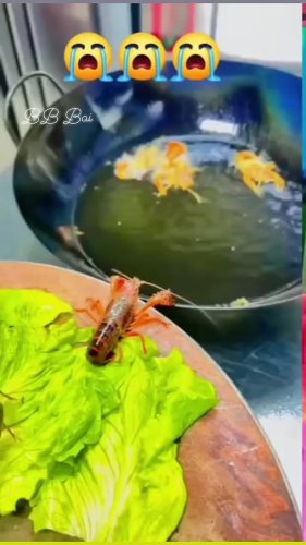 Video post from bbbai.bai.