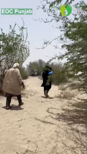 Video post from pakfightspolio.