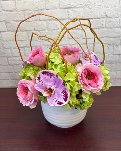 クボタタケシ - Neo Classics 3.01, 3.02 Amazon.com: BLOFLO Colored Glass Hydroponic Flower Vase, 7