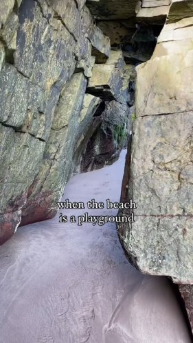 Video post from dinglepeninsulatourism.