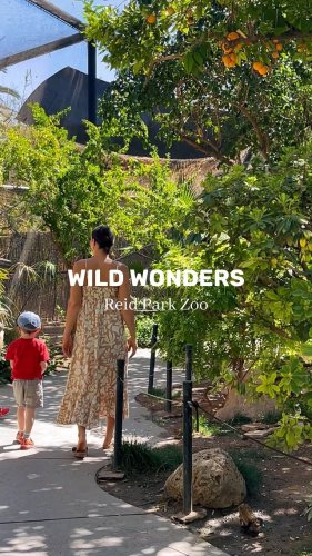 Video post from visittucson.