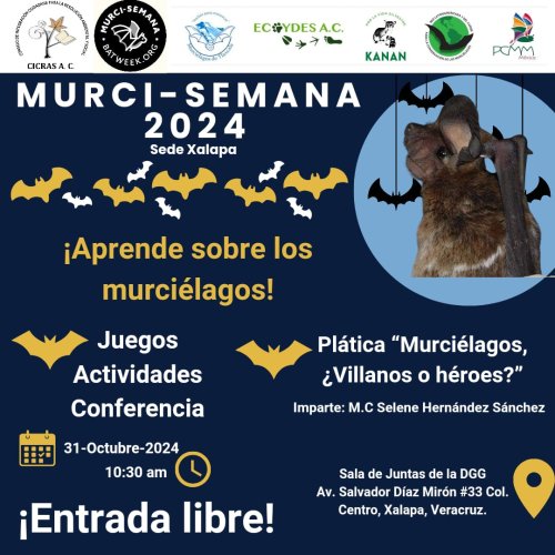 Photo post from murcisemana_oficial.