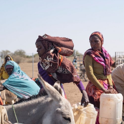 Photo post from unops_official.