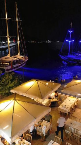 Video post from jandewit.4848.