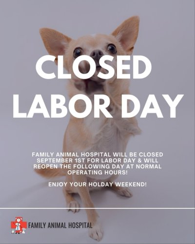 Photo post from familyanimalhospitalcm.