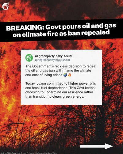 Carousel post from nzgreenparty.