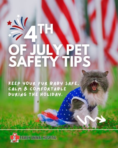 Carousel post from familyanimalhospitalcm.