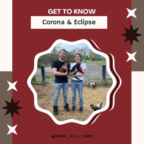 Photo post from ruby_hill_farm.