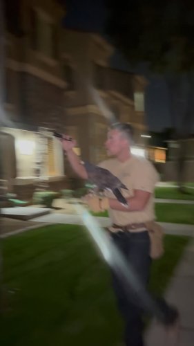 Video post from desertkingsfalconry.