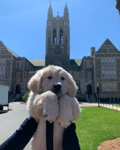 Photo post from bostoncollege.