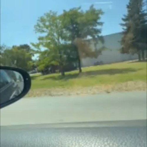 Video post from sremskatelevizija.