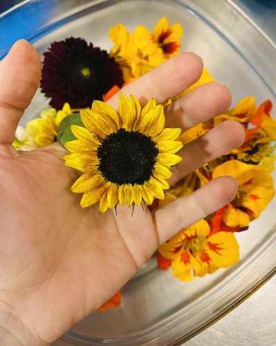 Photo post from miditreizepontarlier.