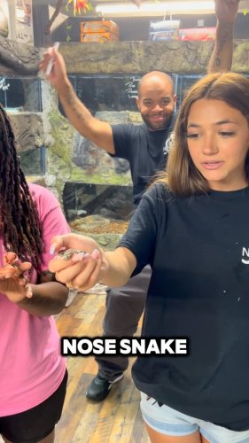 Video post from njexoticpets.