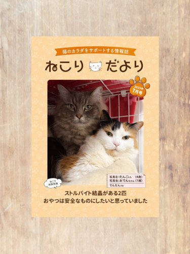 ねこり neco-ri 猫 おやつ 複数在庫あり