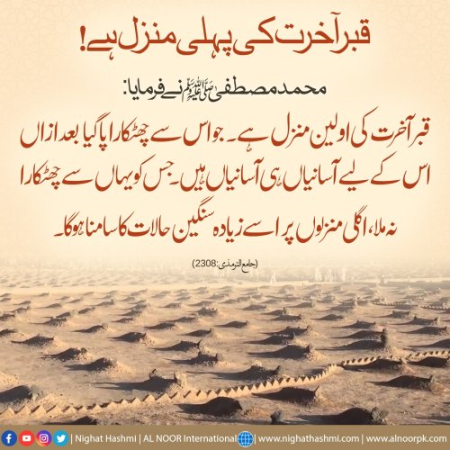 Photo post from nighathashmi.