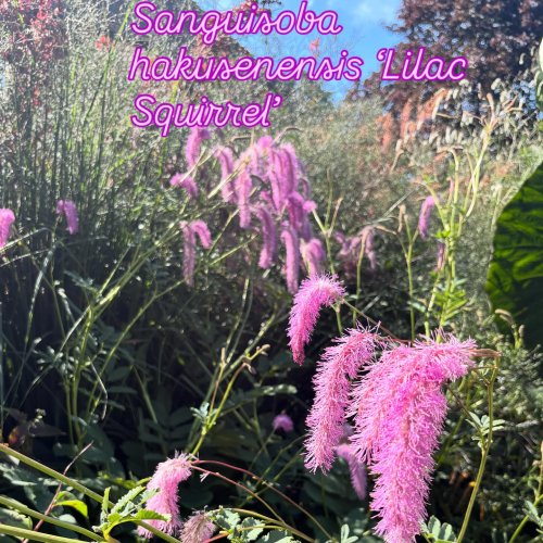 Photo post from gardenhousebrighton.
