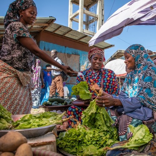 Photo post from unops_official.