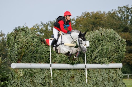 Photo post from fei_global.