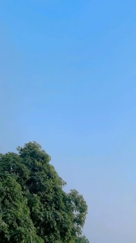 Video post from __md__dalim___.