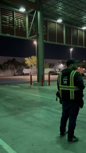 Video post from desertkingsfalconry.