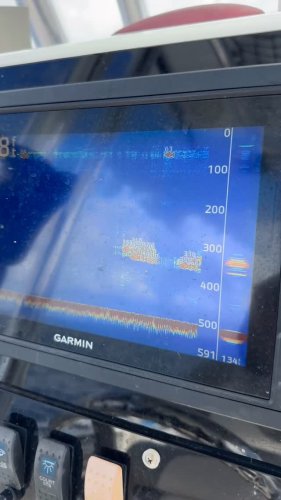 Video post from ejs_fishing_charters.