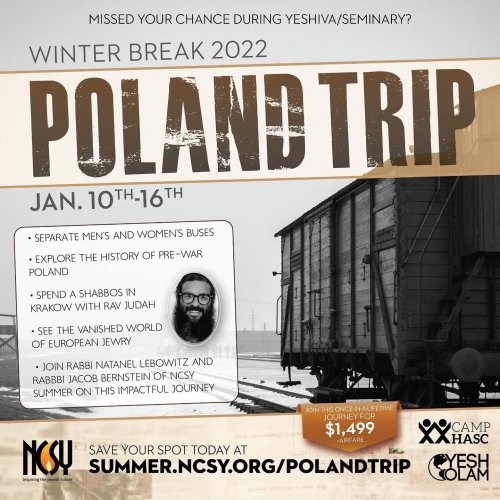 Photo post from ncsysummer.