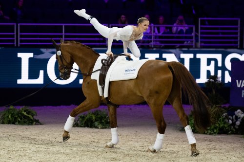 Photo post from fei_global.