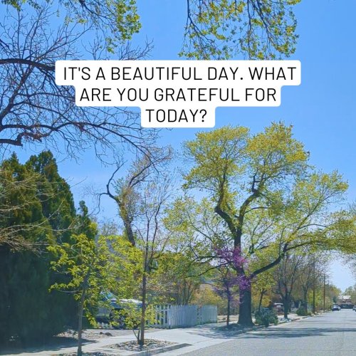 Photo post from claradepont.