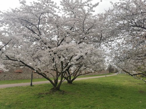 Photo post from visit.magdeburg.