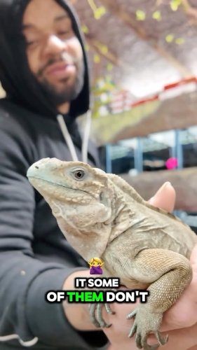 Video post from njexoticpets.