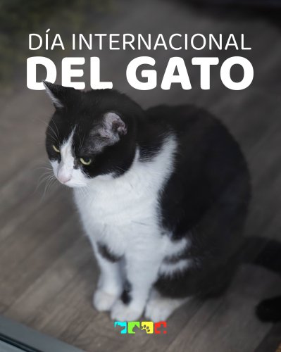 Photo post from medicalpettj.