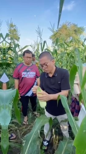 Video post from amanatnasional.