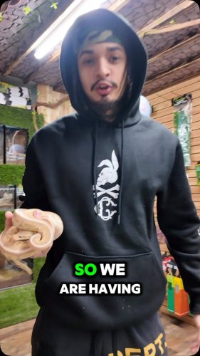 Video post from njexoticpets.