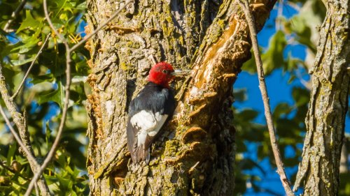 Photo post from indianadunes.