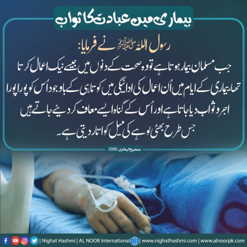 Photo post from nighathashmi.