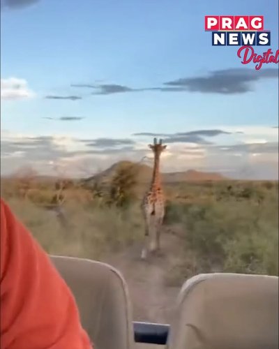 Video post from pragnewsofficial.