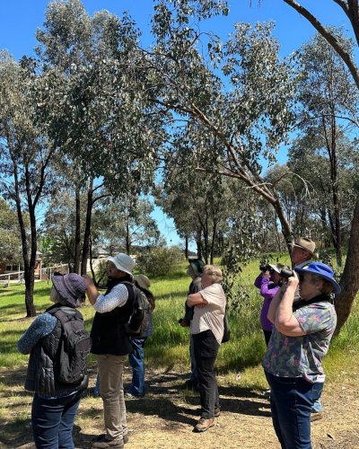 Photo post from alburycity.