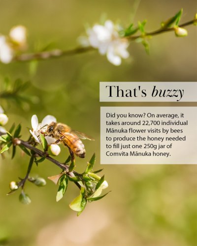 Photo post from comvita_nz.