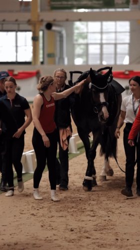 Video post from fei_global.