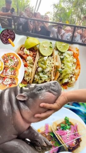 Video post from visittucson.