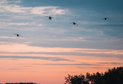 Photo post from northernskiesoutfitters.