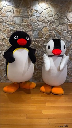 Video post from pingu_jp.