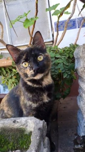 Video post from ira.martelo.